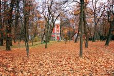 the house in the woods.jpg